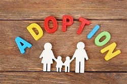 LEGAL ADOPTION SUPPORT