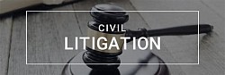 CIVIL LITIGATION SERVICES